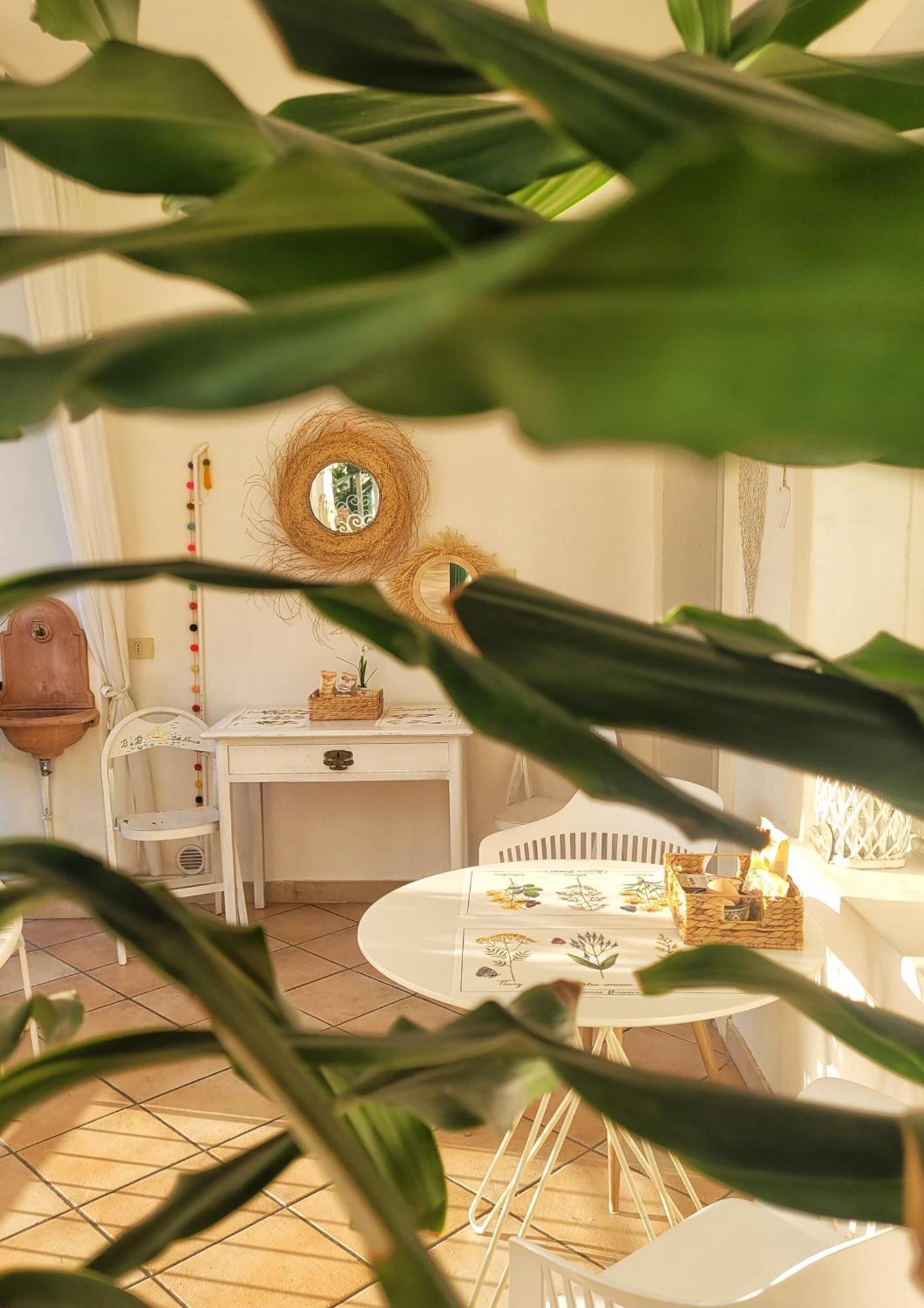 B&B Dal Nonno Рива-дель-Гарда Екстер'єр фото